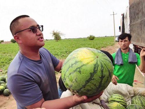 大爷端碗吃瓜图片,大爷端碗吃瓜，诠释生活真谛